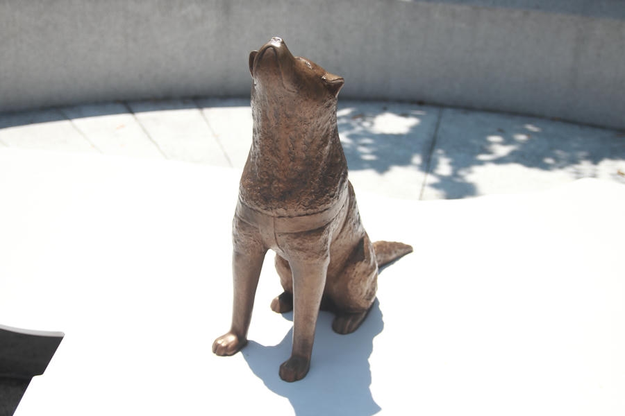 【宮下公園】「ドラえもん みらいのとびら」&「渋谷の方位磁針|ハチの宇宙」
